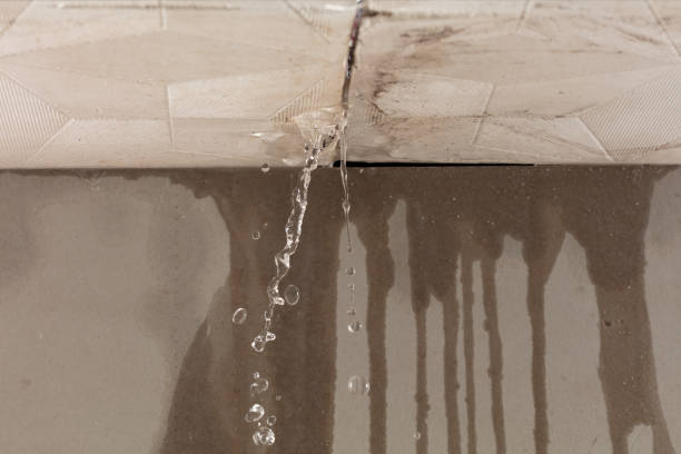 Professional Structural Drying technician working in Isle Saint George, OH